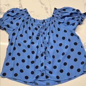 Zara Blue and Black Polka Dot Top